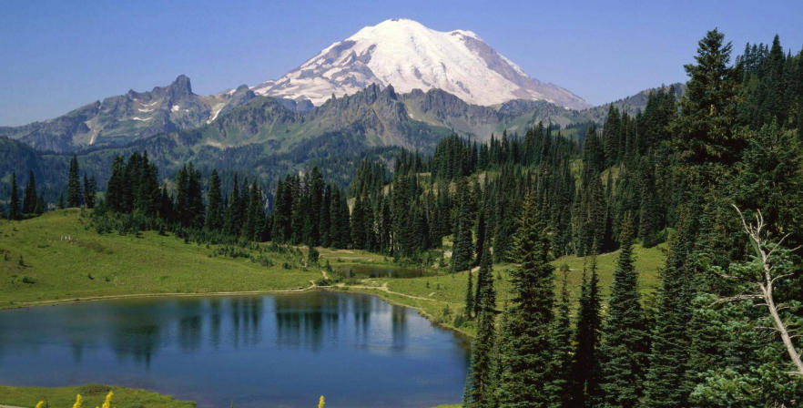 深圳零零柒壹壹安防科技公司轮播图3